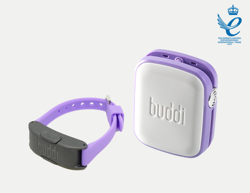 Bracelet Keychain for Women and Personal Alarm, Poland | Ubuy